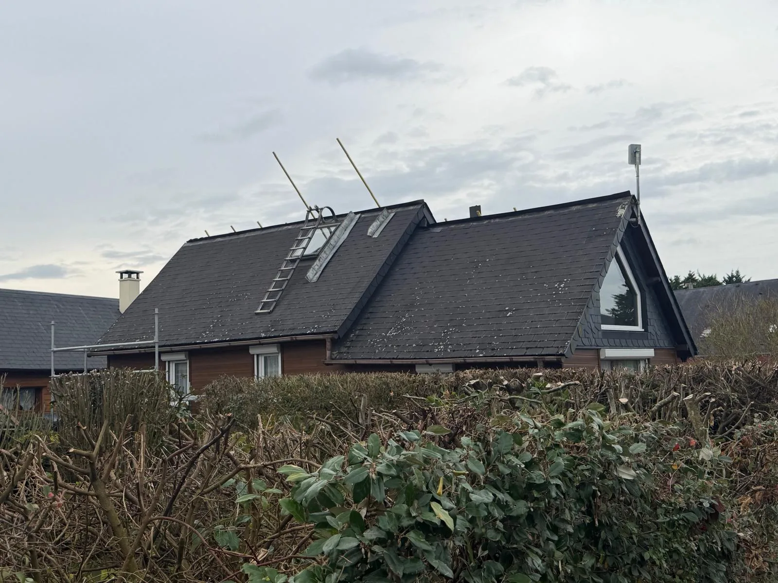 Toiture avant rénovation — mousse et lichen