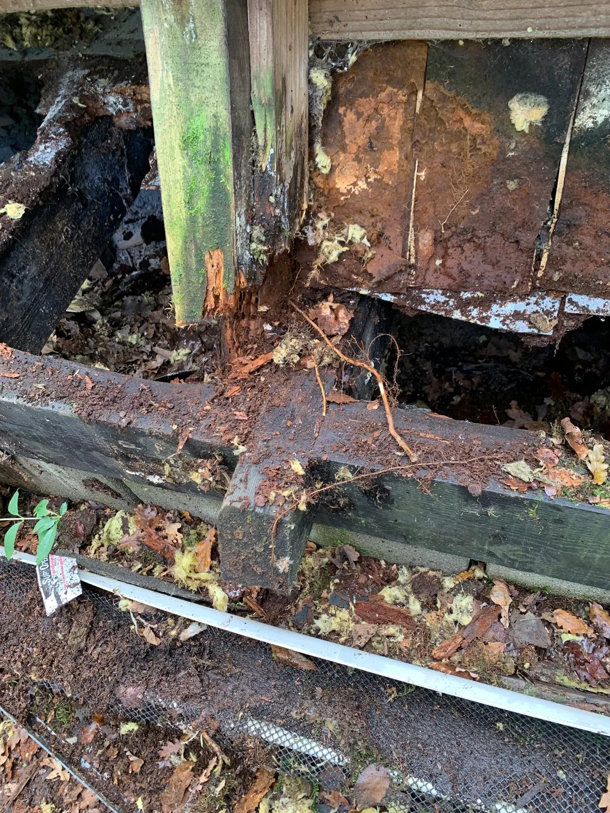 Pourriture de charpente — dégâts d'humidité